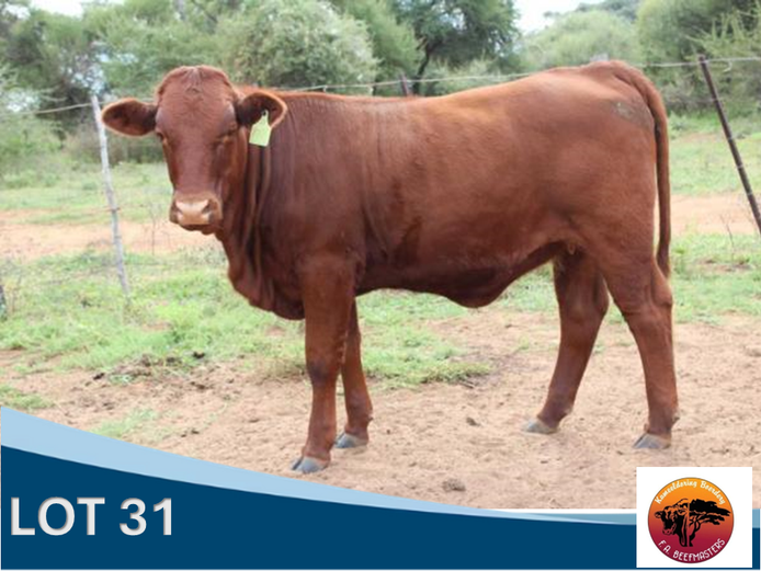 FA 231024 | F.A. MARITZ