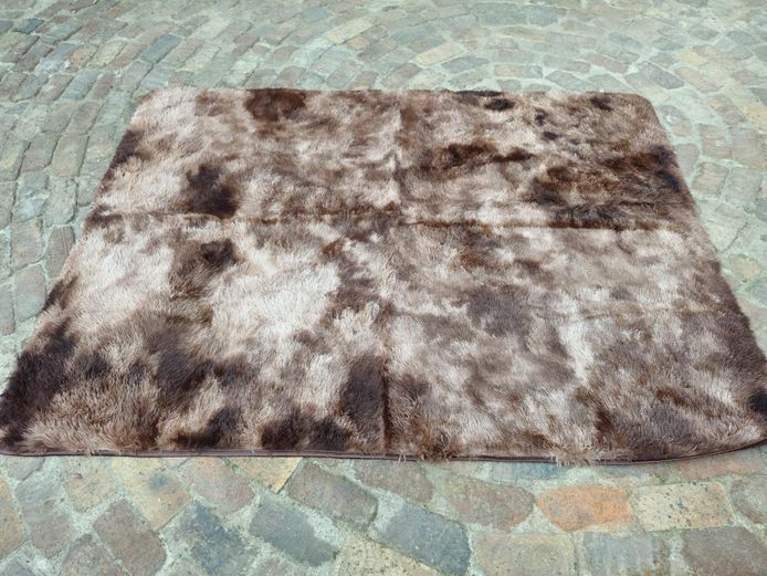 Fluffy Shaggy Area Rug with Non-Slip Backing 