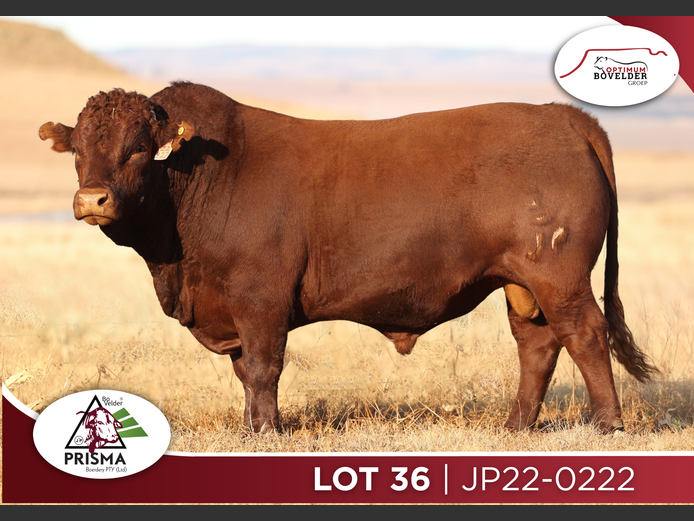 JP22-0222 | PRISMA BOERDERY PTY (LTD)