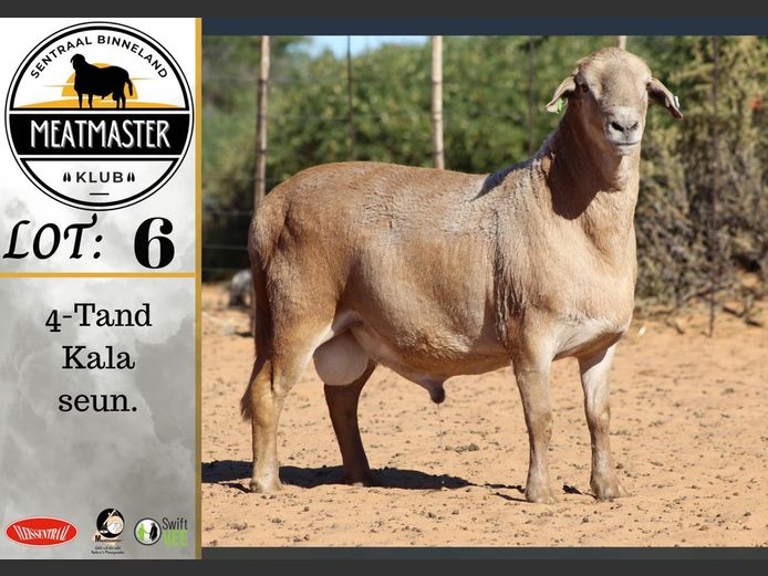 PS 011 | Vrede Meatmasters