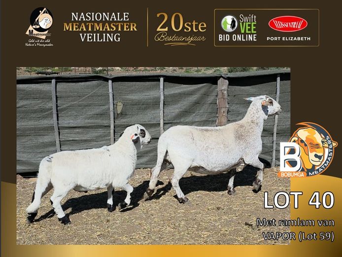 BOB 0336 | Bobumga Meatmasters