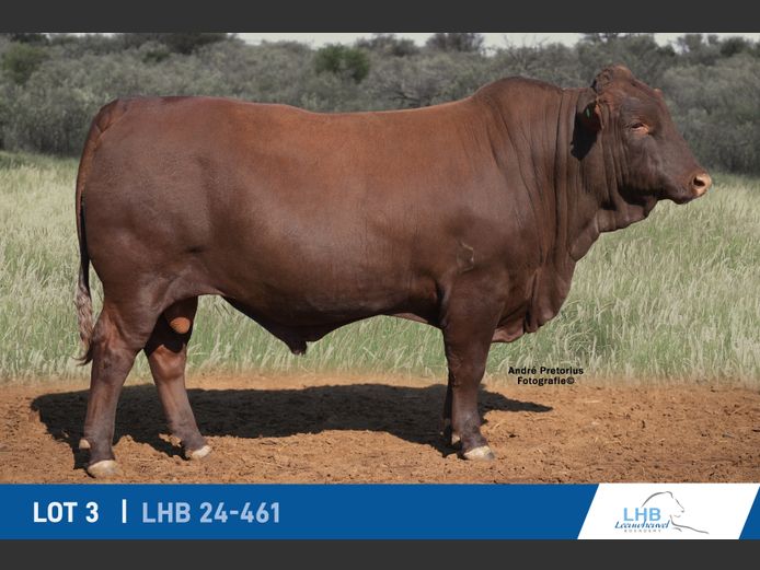 LHB240461 | LEEUHEUWEL BOERDERY (EDMS) BPK