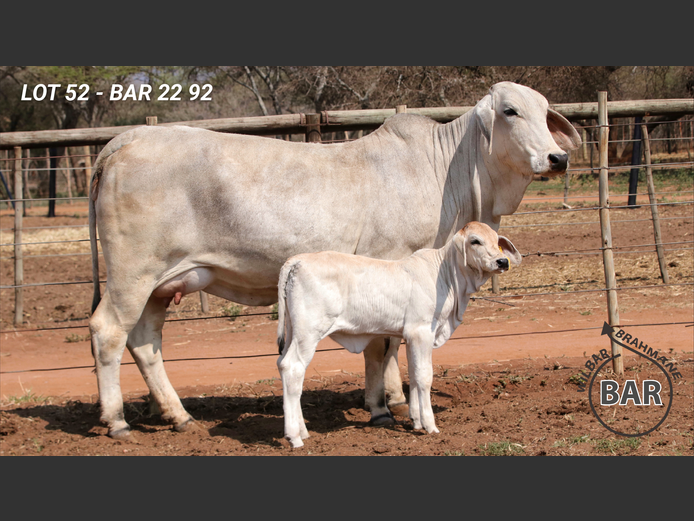 BAR2292 | BARNARD WJ