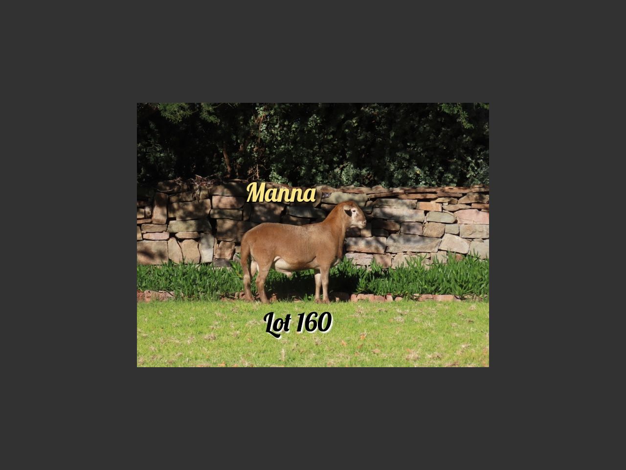 images