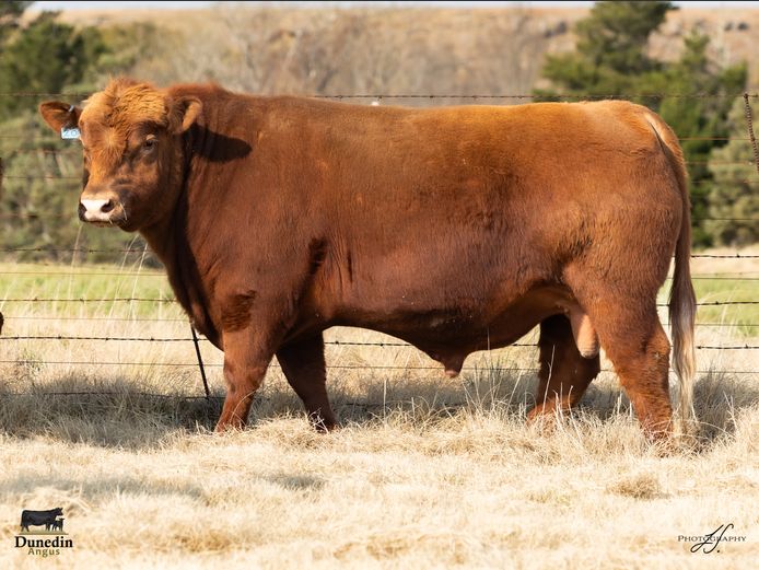 KCM 230020 | TABLE HILL FARMING PTY LTD