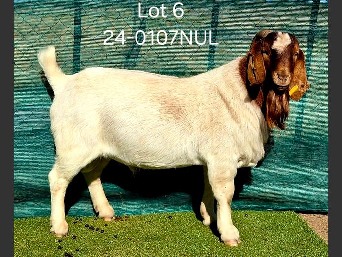 24-0107NUL | NICOLE ULRICH & EGBERT HOFF