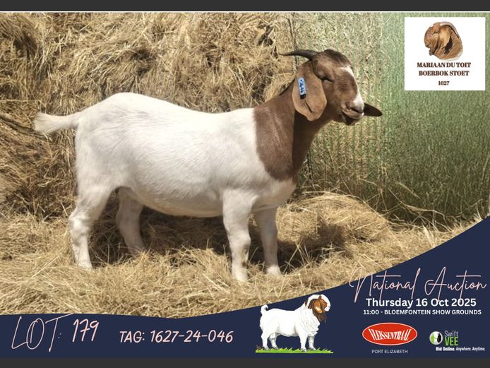 1627240046 | Mariaan du Toit (Mariaan du Toit Boerbokstoet - CMD AGRI (EDMS) )