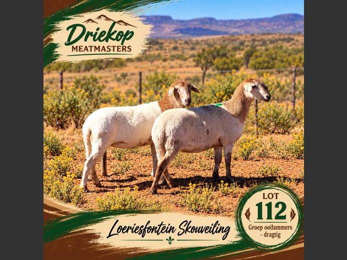 Driekop Meatmasters