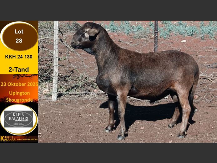 KKH 24.130 | Tommy Bissett - Klein Kalahari Meatmasters