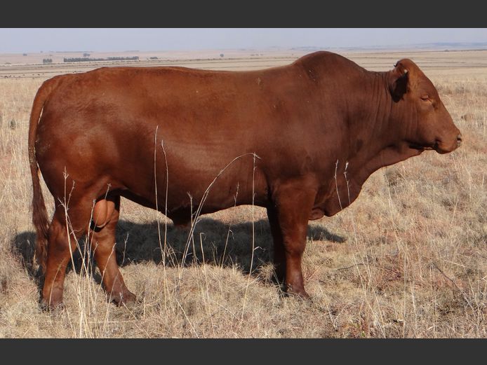 CCW 230107 Pp(c) | C. CILLIERS
