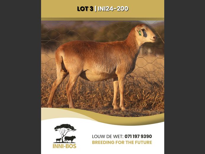 INI 24-200 | INI-BOS BOSVELDER