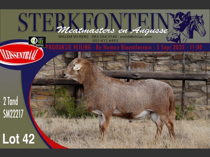 SM 22 217 | Sterkfontein Meatmasters