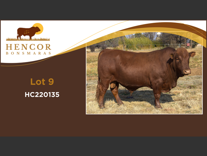 HC  220135 | HENCOR BOERDERY