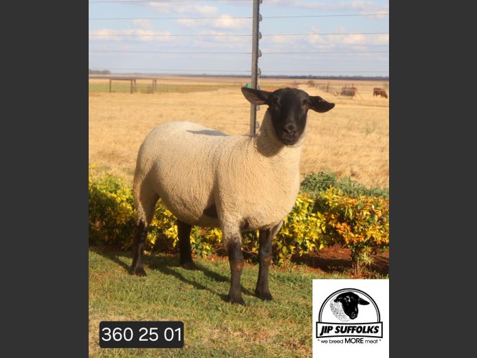 360250001 | J.I. POTGIETER