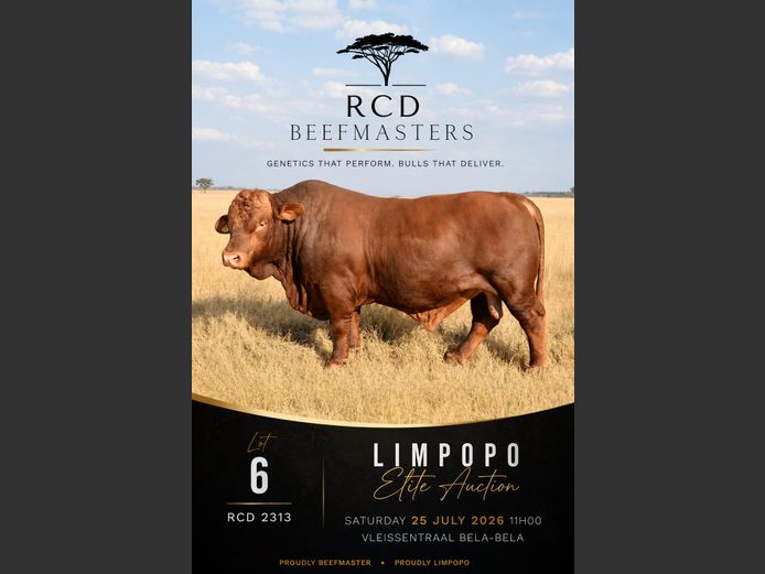 RCD 230013 | RCD