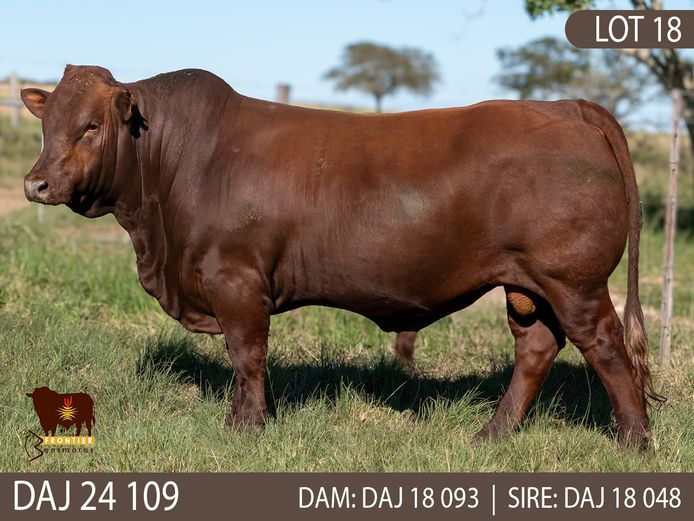 DAJ 240109 | J.D. STIRK