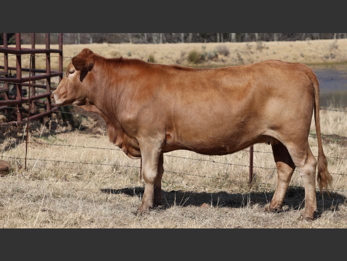 HBH 200089 | CLARK CATTLE COMPANY PTY LTD
