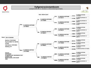genetic_data