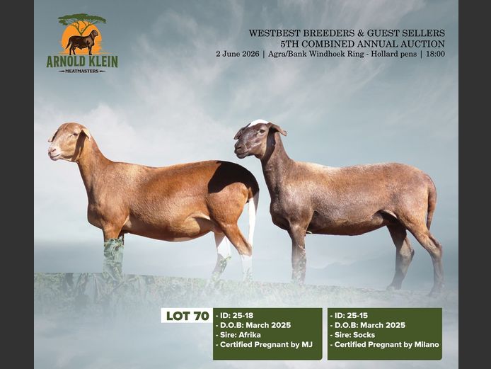25-18 | 25-15 | Arnold Klein Meatmaster