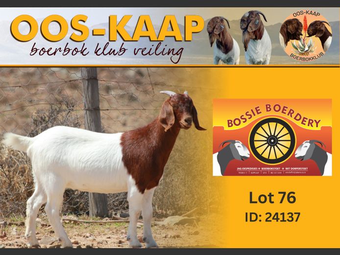 24-137 | Bossie Boerdery