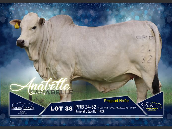 PRB 240032 | PEINKE RANCH