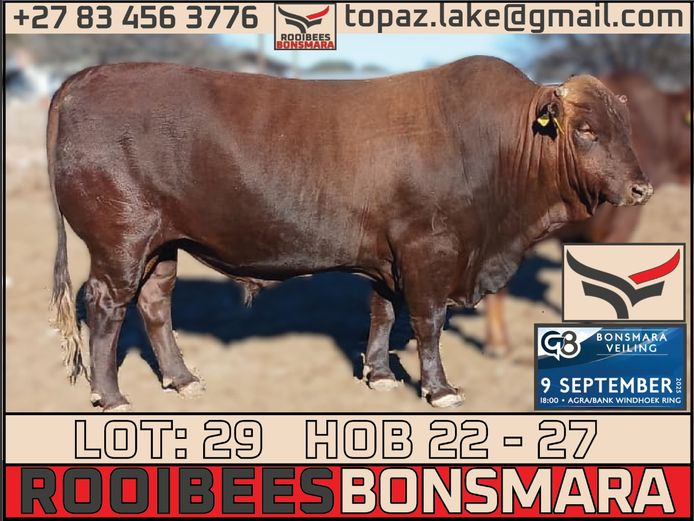 HOB 220027 | ROOIBEES FARMING PTY LTD