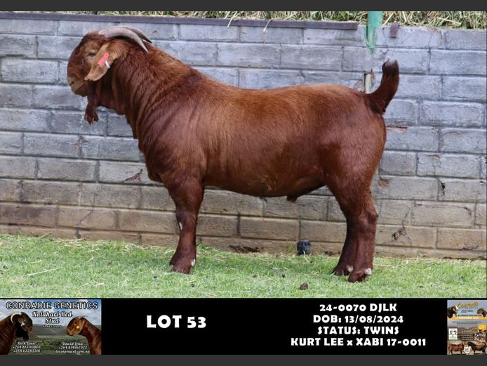 24-0070 DJLK | DIRK LOUW