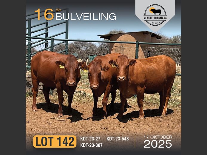 Commercial Animals | KDT BONSMARAS