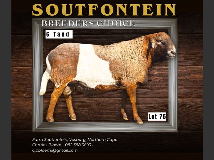 CB 230042 | SOUTFONTEIN MEATMASTERS