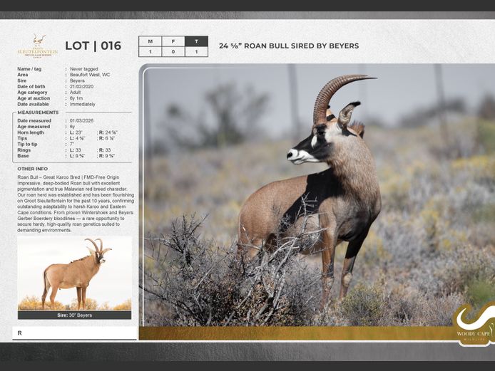 Roan | Groot Sleutelfontein (Pty) Ltd.