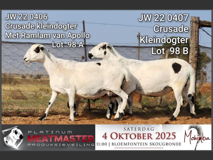 JW 22 0406 | Johnny & John William Morrison - Mohimba Meatmasters, Bainsvlei
