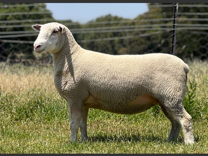 JB240021 | J.A BARNARD