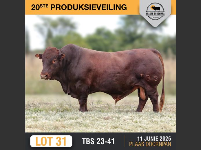 TBS230041 | THABA KWENA BONSMARAS