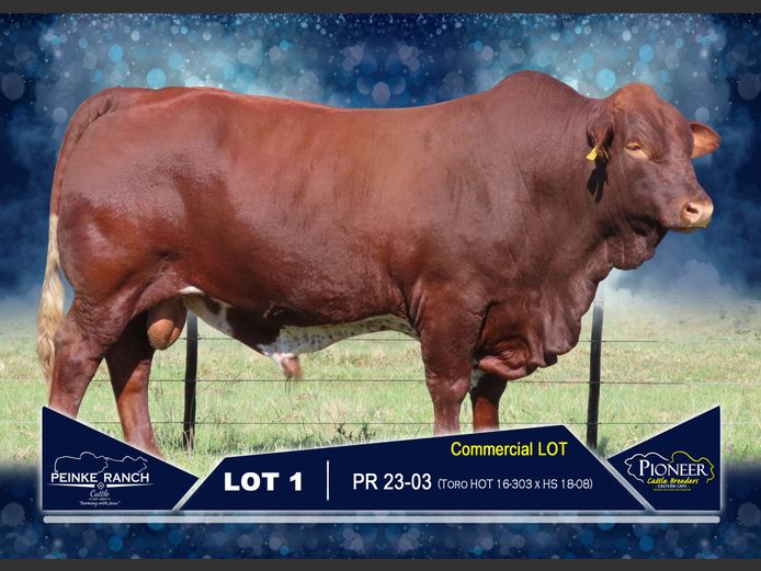 PR 230003 | PEINKE RANCH