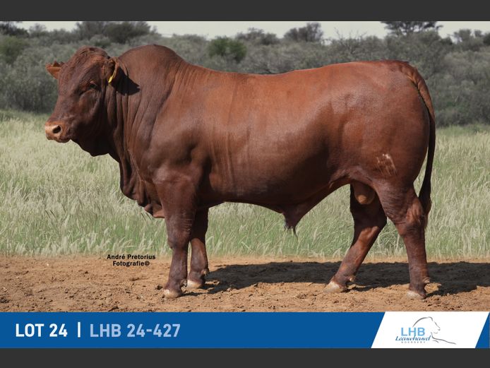 LHB240427 | LEEUHEUWEL BOERDERY (EDMS) BPK
