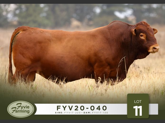 FYV20-040 | Fyvie