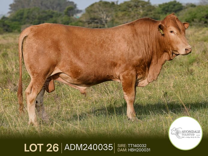 ADM240035 | A.D. MULLINS