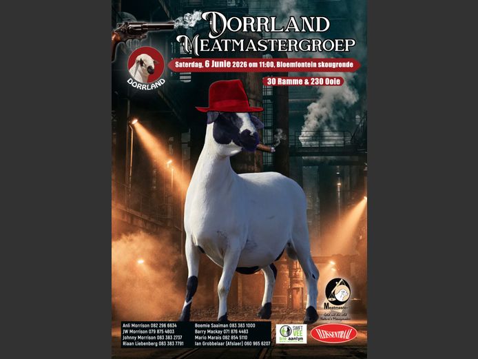 DORRLAND MEATMASTERGROEP VEILING