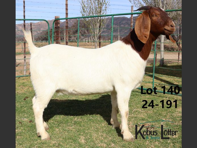 1658240191 | DIRK LOTTER