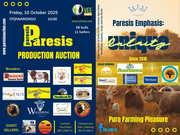 PARESIS PRODUCTION AUCTION