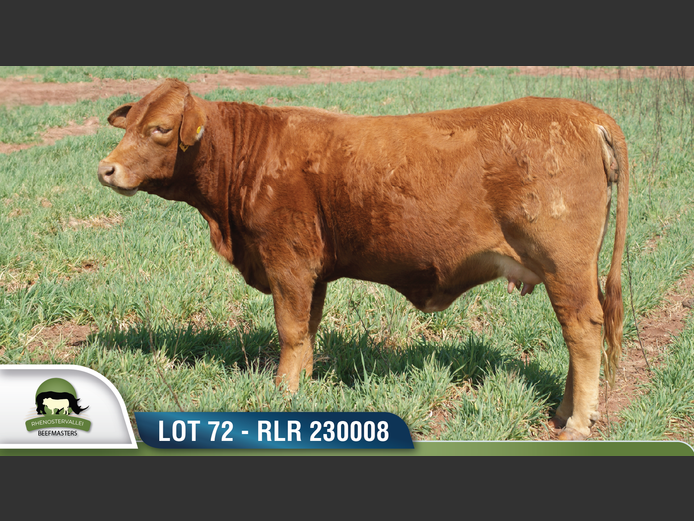 RLR 230008 | RHENOSTERVALLEI