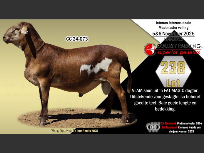 CC 24-73 | LA ROCHELLE GENETICS