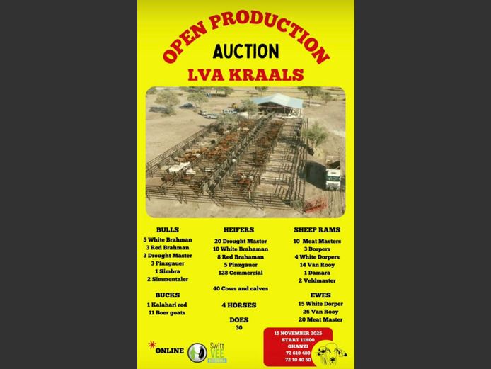 LVA OPEN PRODUCTION AUCTION 