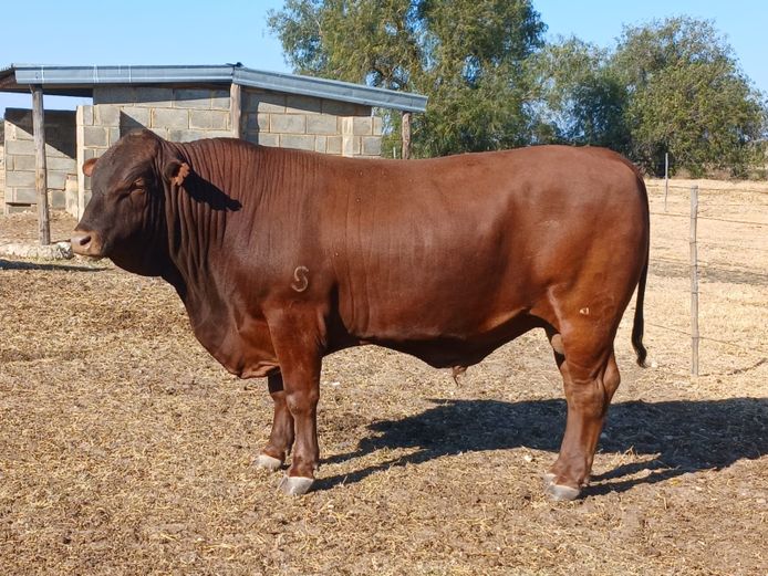 AB 220139 | CCR BEEF (PTY) LTD