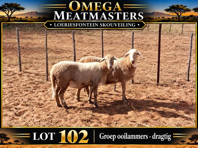 Omega Meatmasters