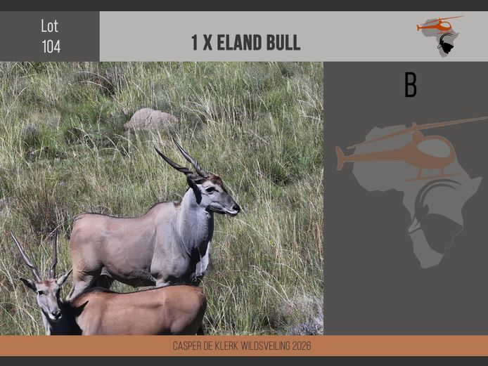 Eland