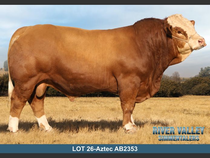 AB2353 | PA ABRAHAMSE