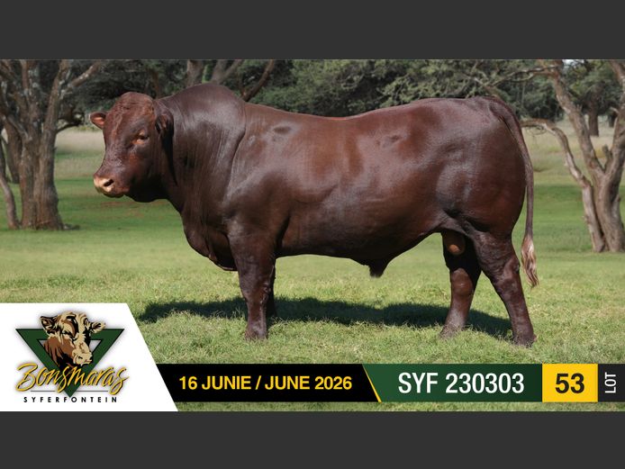 SYF230303 | SYFERFONTEIN BOERDERY