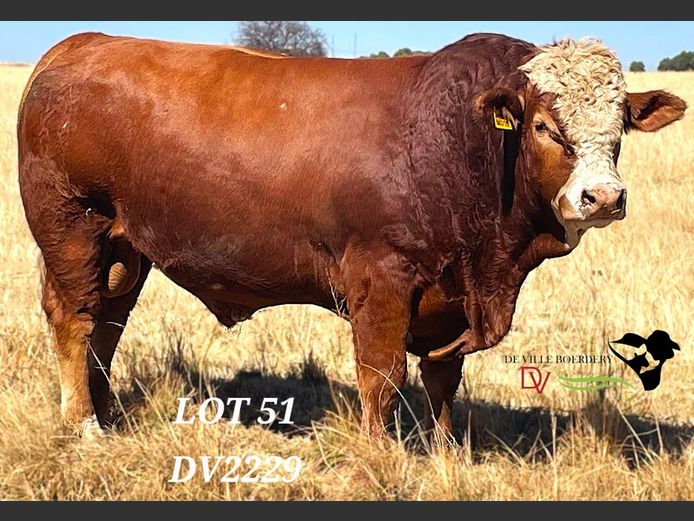 DV2229 | DE VILLE BOERDERY (EDMS) BPK