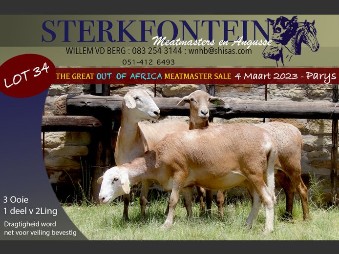 19 129 | Sterkfontein Meatmasters
